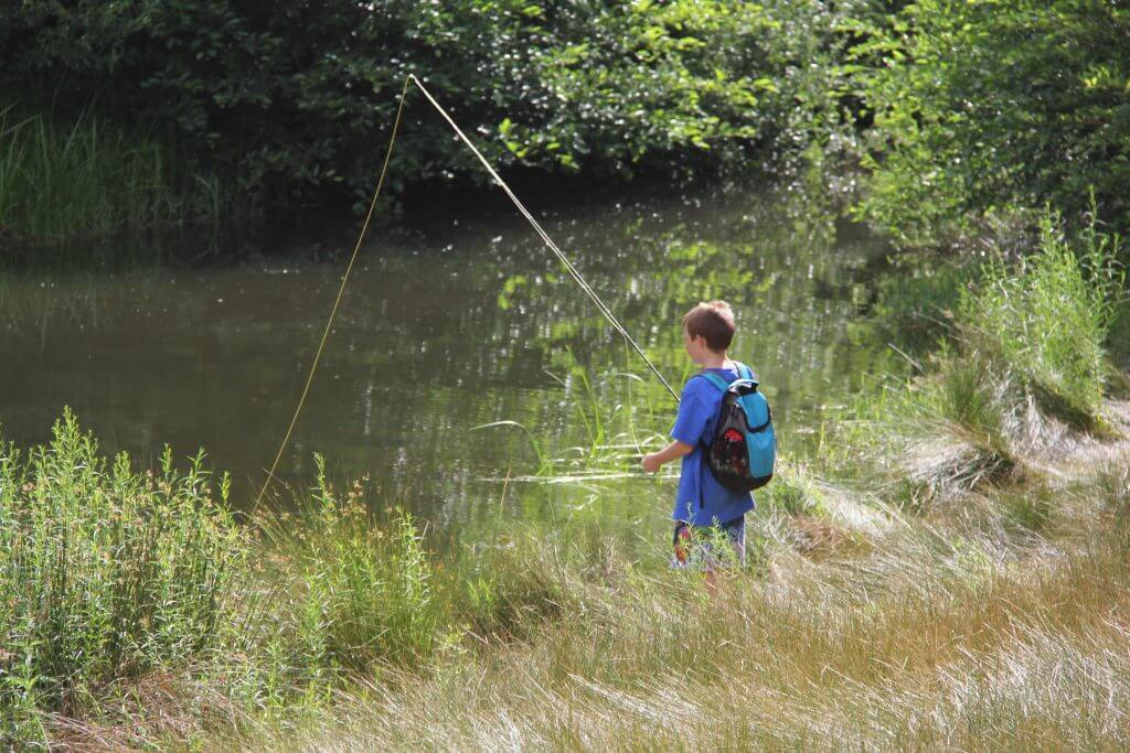 Cub Scouts Camp Whitsett