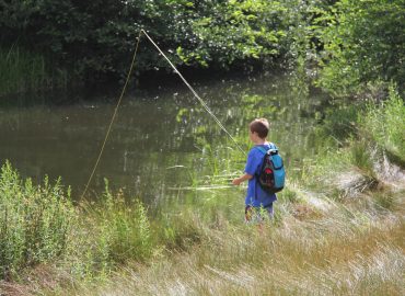 Scout Programs - Camp Whitsett